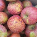 꿀멍꿀멍 이미지