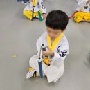 삼성체육도장 이미지