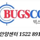 벅스코안양센터