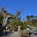 마파마을회관 이미지