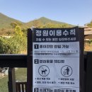 티가든비 이미지