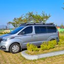 요천생태습지공원 애견놀이터 | 남원 가볼 만한 곳 요천 생태 습지공원 애견 놀이터