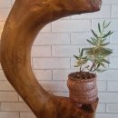 정우숯불가든 이미지