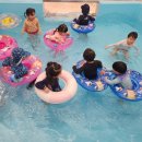 포레스트키즈어린이집 이미지