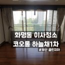 클린지아 네이버블로그