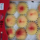 월랑농장 이미지