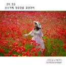 산소카폐 청송정원 (2) | 경북 청송 :: 산소카페 청송정원 꽃양귀비(2부) 【25년6월7일】