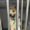 산청동물병원 이미지