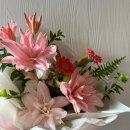 보태니컬 플랜(Botanical Plan) 이미지