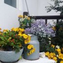 씨앤모먼트 이미지