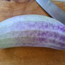 보라2통 이미지