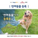 로얄 동물 이미지