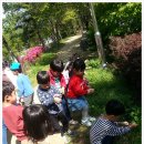 수곡초교 병설유치원 이미지