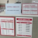 썸바디독스 이미지