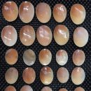 카메오컴퍼니 이미지