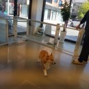 학하서로 이미지