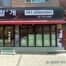 예뻐할개