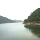 왜관시장 이미지