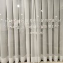 카페산정현 네이버블로그