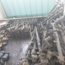 세상의모든자동차 이미지