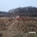 비해피팜 이미지
