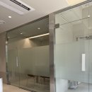 중부동물병원 | 10살 포메 강아지 치석 스케일링&amp;발치 - 뿌리동물병원 내돈내산 후기