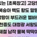 초록창고 네이버블로그
