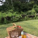 돈선농장 이미지