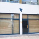 파랑새39