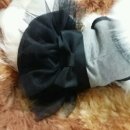 김쌤애견 이미지