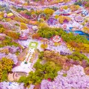 블라썸1995 네이버블로그