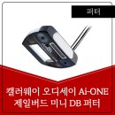 주식회사 제일골프 이미지