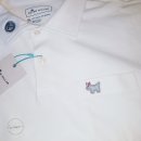 포켓불독 이미지