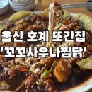 꼬꼬사우나찜닭 | [울산 맛집] 울산 북구 국내산만 취급하는 찜닭 집 &#39;꼬꼬사우나찜닭&#39;