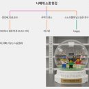 가곡야구장 | [4-6-1] 4학년 도덕 6단원 1차시 둘로 갈라진 우리 수업 후기