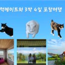 금두꺼비 민박 이미지