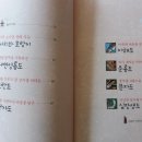 소원을 담은 우리그림 민화 이미지