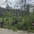 9월 15일 재해구호 휴가 이미지