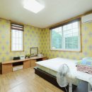 강릉애견하우스 이미지