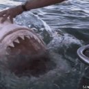 상어피시방 이미지