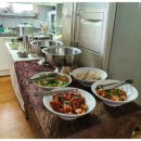 동아목련 이미지