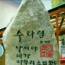 술타령 이미지