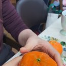 창호농장 이미지