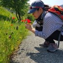 지리산 삼신봉 발원 횡천강행 42km(하동포구 섬진강 합수부까지) 이미지