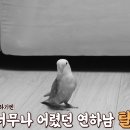 학계농장 이미지