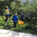 새뜸농장 이미지