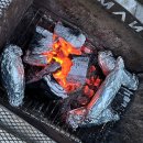 반스힐리조트 | 홍천 애견동반 펜션 반스힐리조트 독채 풀빌라 후기