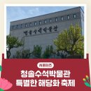(주)청솔 | 김천 가볼 만한 곳, 청솔수석박물관 특별한 해당화 축제 후기 추천 _ 김천시 서포터즈 원주연