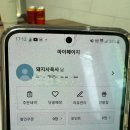 🐷 사육사와 함께하는 먹방,일상