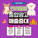 고양이간식 광고, 영양보다 ‘이유’를 팔아야 팔린다